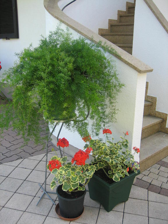 Appartement Weissbacher ローファー エクステリア 写真